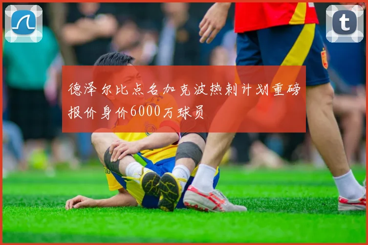 德泽尔比点名加克波热刺计划重磅报价身价6000万球员
